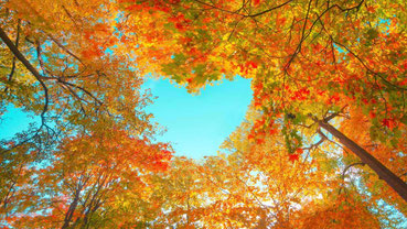 Heidy Forster Auszeit Herbst Pause