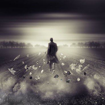 ꧁ ©Martin Krenovsky ꧂