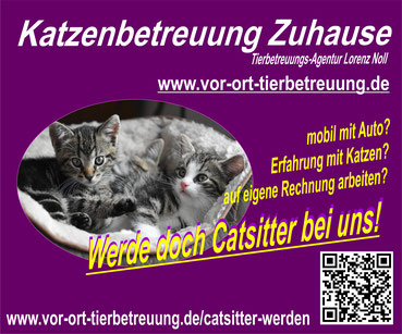 Katzensitter im Großraum Nürnberg - Tierbetreuung, Katzenbetreuung