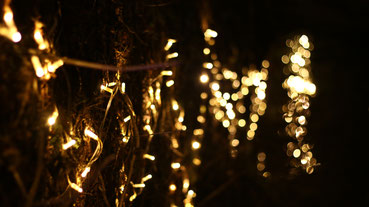 Fairy Lights all over the place!