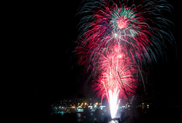 Firework in Wellington