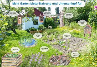 Quiz rund um den Lebensraum Naturgarten