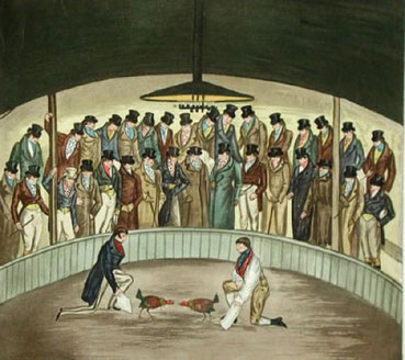 Westminster Cock Pit In 1830 (Restrike Etching) by Henry Alken. Note the similarity in dress to the picture with the signature of H Alken.