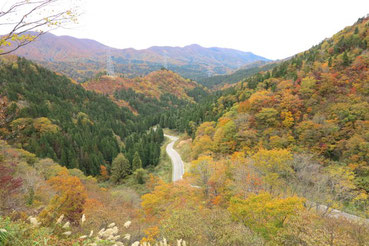 新保峠付近から加賀大日山方向を望む