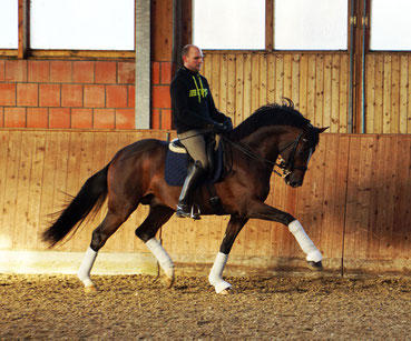 Matthias mit Quantum Vis MW beim heutigen Training in Sonsbeck, Foto: Nicole Bercz