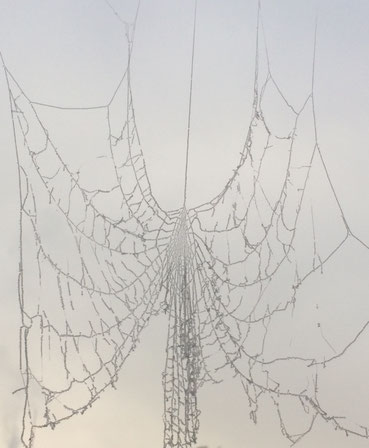 Foto Karin Jäckel
