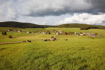 Schollach bei Eisenbach im Schwarzwald Herbst