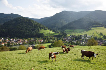 Simonswald im Schwarzwald