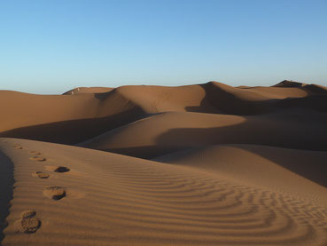 Vallée du Drâa Maroc