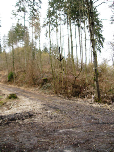 Halterung alte Vogelstange Kündel