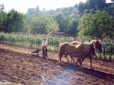 Paire de chevaux au brabant double réversible