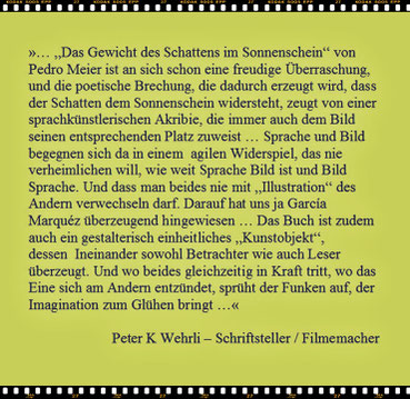 Peter K. Wehrli, Schriftsteller, Filmemacher – Text zu Pedro Meier – Das Gewicht des Schattens Sonnenschein – Gedichte und Polaroids – Streifzüge durch Berlin – Verlag Königshaus & Neumann – Rezension – Pedro Meier, Lyriker, Schriftsteller AdS Autor