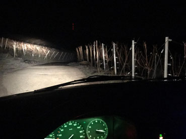 nächtliche Temperaturmessung im Weinberg -Eiswein 2018