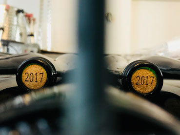 2017er Saar-Riesling-Roots frisch gefüllt