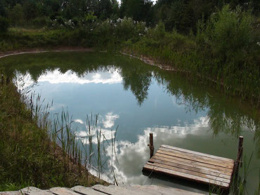 天然池塘