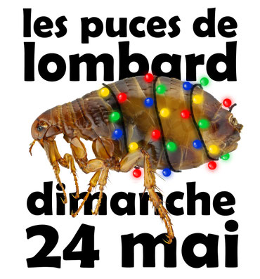 le lombard bar, brew-pub, pico-brasserie, bar à bières artisanales du jura, à proximité de bletterans et lons le saunier