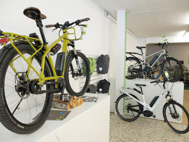 e-Bikes in der e-motion e-Bike Welt in Berlin-Steglitz kaufen