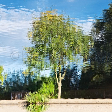 Im Fluss. Landschaften im Spiegel