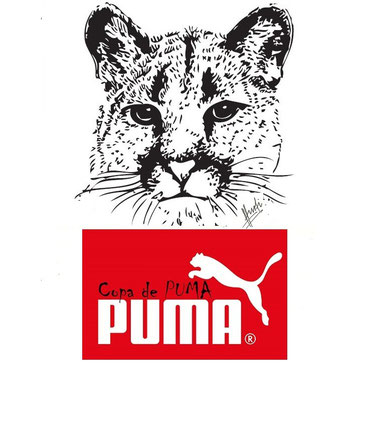 Copa de Puma