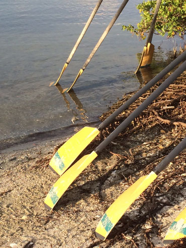 close up of the oar blades