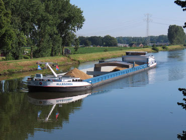 Ms Allegonda