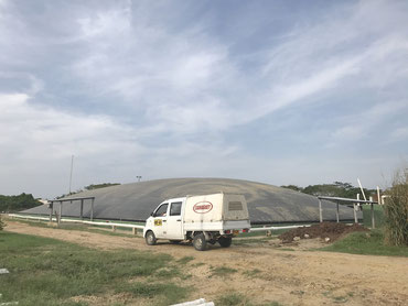 Biogas - biodigestor - rastro - matadero de reses