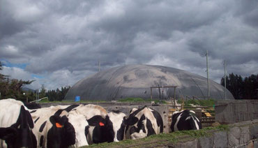 ¿Que es el biogas? - ¿Que es un biodigestor?