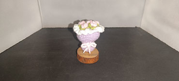 Mini Ramo 