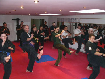 American Kenpo Karate Anfängerkurs Berlin