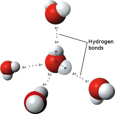 3D Illustration of Hydrogen Bonds in Water