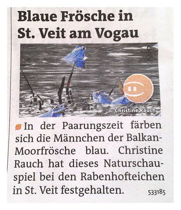 Meine blauen Frösche in der www.woche.at 18. April 13