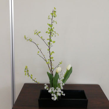 チューリップ、キバデマリ、桜小町/盛花体験