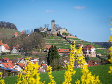 Ansicht der Stadt Beilstein