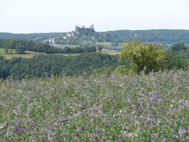 Après La Mérelle, Turenne se dresse sur sa butte. Puis Martel, ancien lieux de justice de la Vicomté de Turenne. Puis retour à Collonges-la-Rouge par la Vallée de la Dordogne