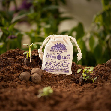 Kleine Aufmerksamkeit zu Weihnachten - Saatbomben / Seedbombs