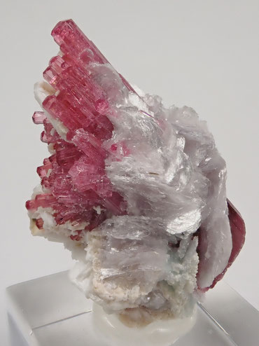 Malkhan rubellite