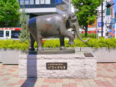象のはな子さん