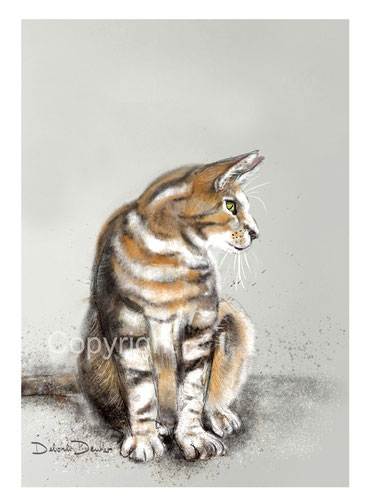 christliche Karten, Katze 