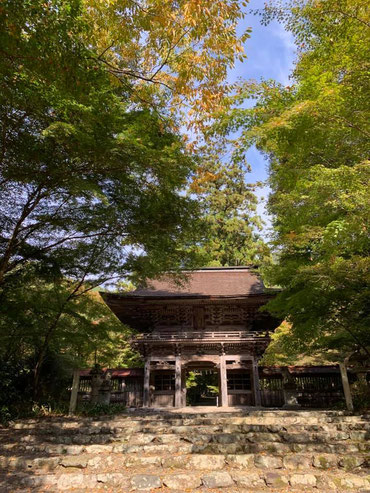 大矢田神社の山門