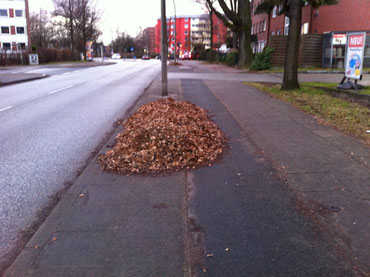 Oddernskamp in Lokstedt: Ein kleines Exemplar eines Laubhaufens. Mindestens eine Woche schon liegt er dort so rum...