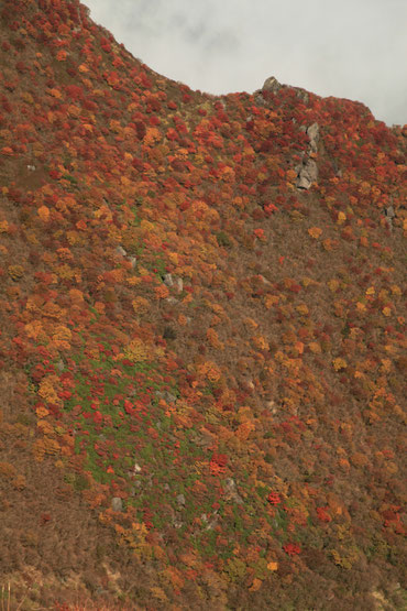 大鍋斜面の紅葉