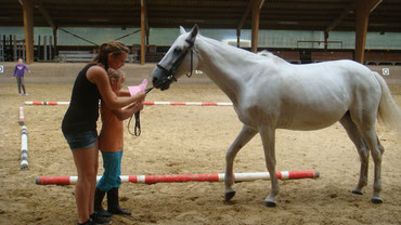 Zeltlager 2012 - Vorführen an der Hand mit Lola