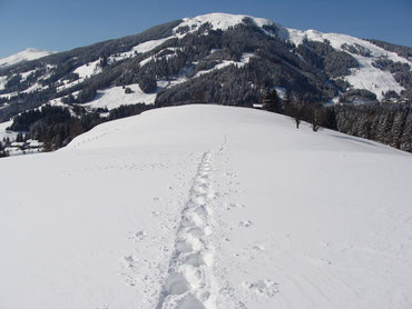 Am Pass-Thurn sind Winterfreuden garantiert! (Resterhöhe 1956m)
