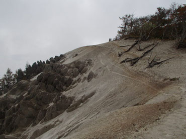 日向山　登山　ガイド