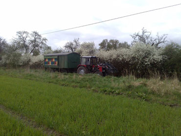 Wanderung des Bienenwagens mit dem Trecker eines Freundes