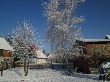 Blick auf den Ökohof Fläming in Schopsdorf. Auf den Bäumen hat sich der Schnee gesammelt, an den Dächern bilden sich Eiszapfen. Der Bienen sind in Winterruhe, die Menschen genießen unterdessen den Honig im Tee.