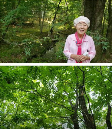 自然に苔が生えて30年以上