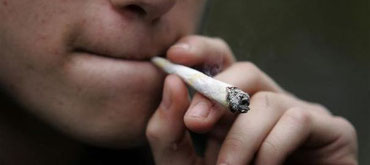 Goélands adolescentes en grandes difficultés et cannabis