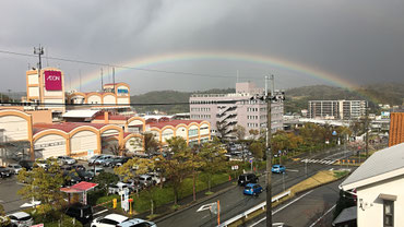 ピンクのしだれ桜と青空の写真