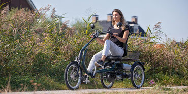Easy Rider Van Raam Sessel-Dreirad Elektro-Dreirad Beratung, Probefahrt und kaufen in der Beratung unserer Experten im Dreirad-Zentrum in Werder